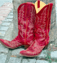 6a0128768872d9970c015391b97b97970b-320wi