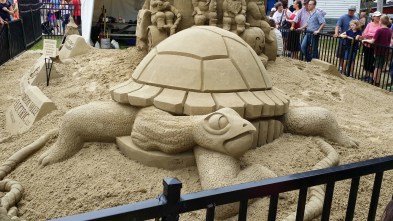 wp-1409543472119 image