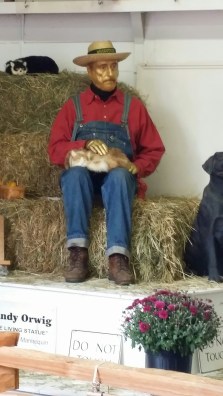 wp-1409543487922 image