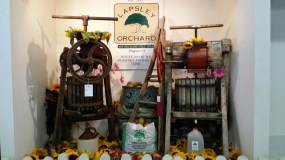 wp-1409543498216 image