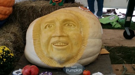 wp-1409543523834 image