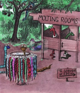 cutcaster-photo-100611170-Even-snakes-eventually-shed-Snake-skin-store