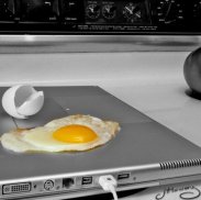 egg-laptop