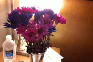 JENNIFERSTOY - WIN_20150730_232822