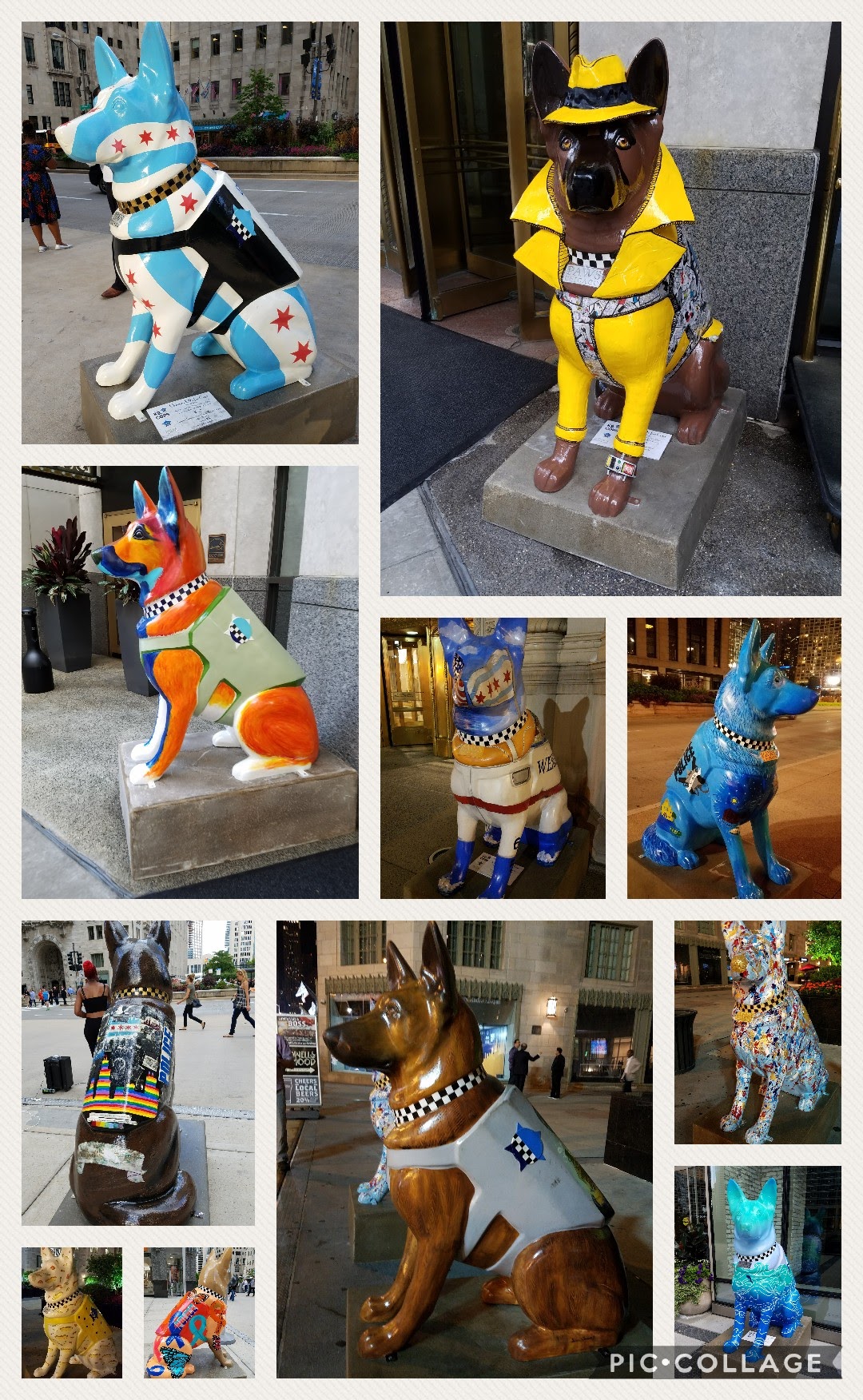 Collage 2017-08-18 06_31_06